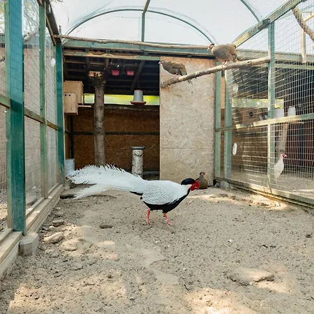 I Zakatek - Mini Zoo - Duzy Plac Zabaw - Komfort I Cisza
