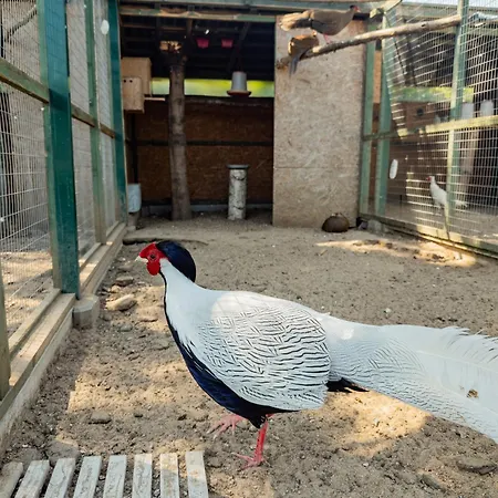 I Zakatek - Mini Zoo - Duzy Plac Zabaw - Komfort I Cisza Δωμάτια σε οικογενειακή κατοικία *