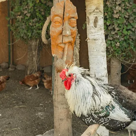 I Zakatek - Mini Zoo - Duzy Plac Zabaw - Komfort I Cisza Δωμάτια σε οικογενειακή κατοικία *