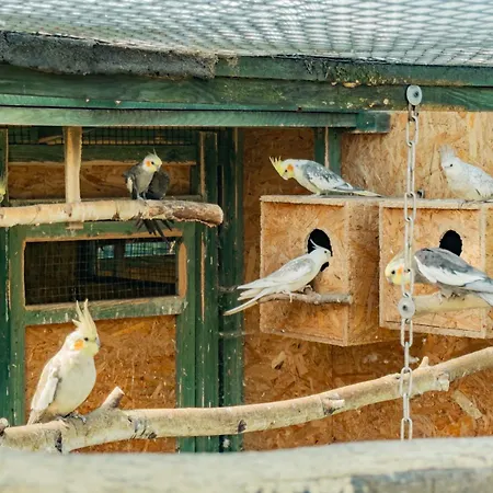 I Zakatek - Mini Zoo - Duzy Plac Zabaw - Komfort I Cisza Δωμάτια σε οικογενειακή κατοικία Władysławowo