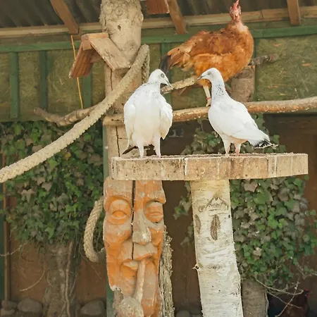 Δωμάτια σε οικογενειακή κατοικία I Zakatek - Mini Zoo - Duzy Plac Zabaw - Komfort I Cisza Władysławowo